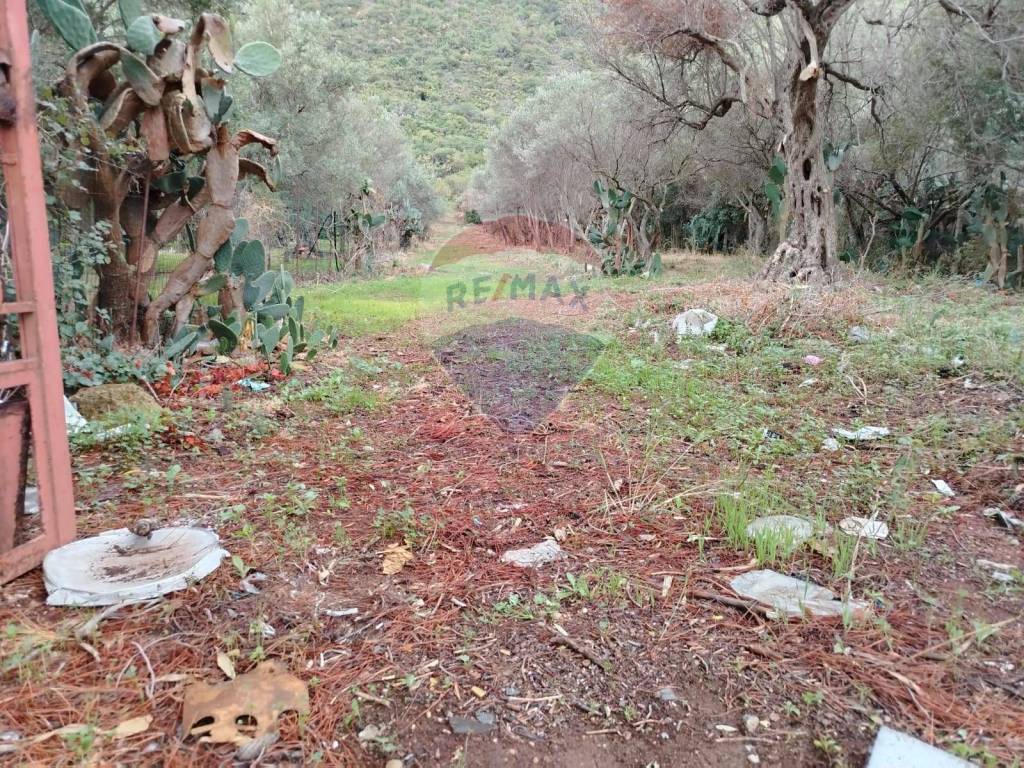 Terreno a Cinisi in strada provinciale - Foto 4