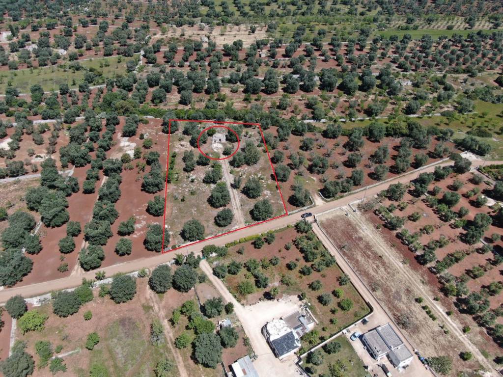 Rustico / casale a Carovigno in SS16 - Foto 2