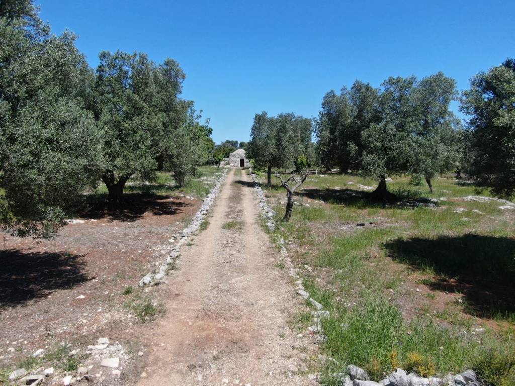 Rustico / casale a Carovigno in SS16 - Foto 4