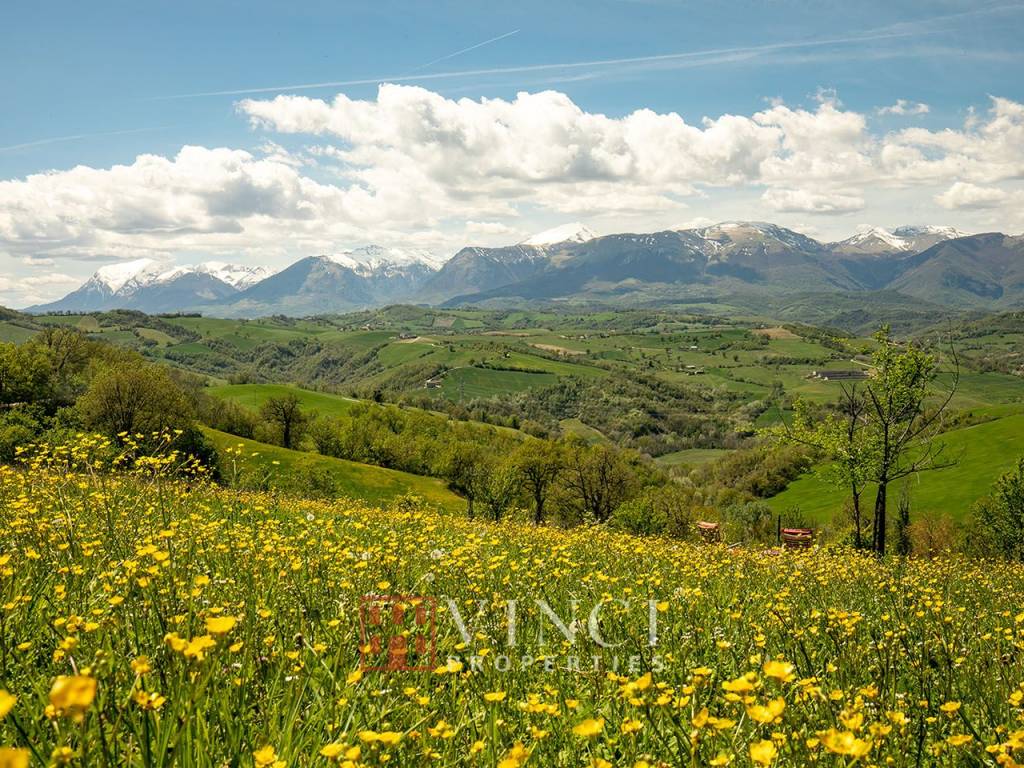Rustico / casale a Penna san giovanni - Foto 5