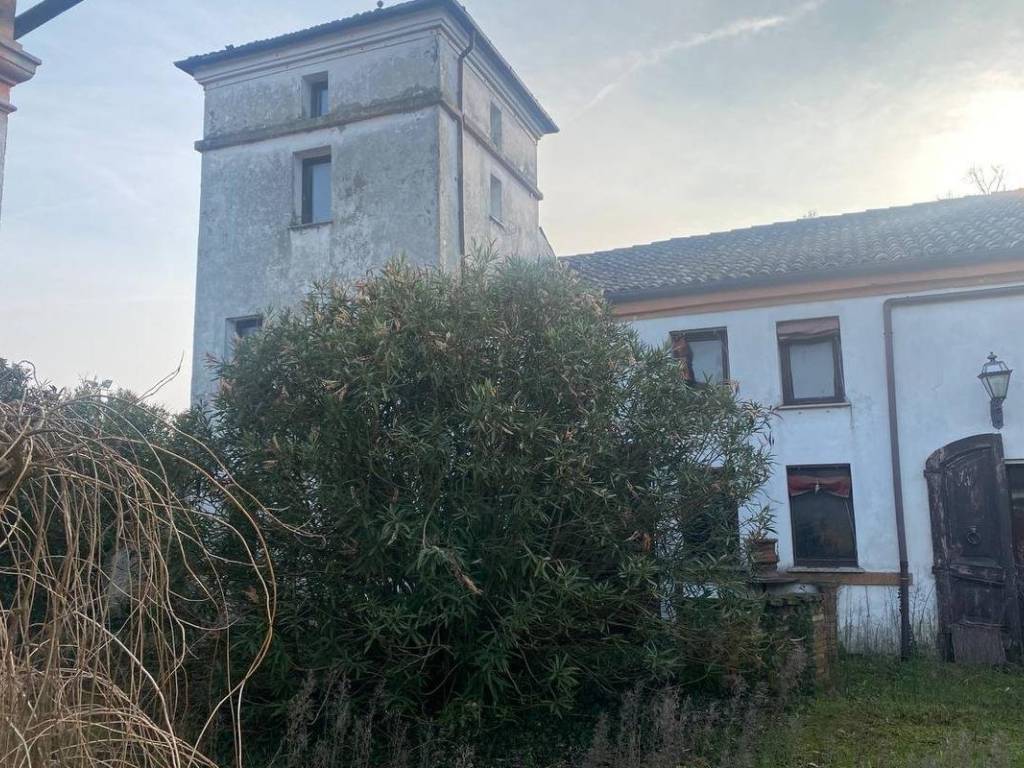 Immobile a Tresignana in Strada Provinciale Copparo-Migliarino, 57 - Foto 2