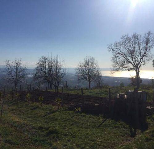 Terreno a Lamezia terme in Contrada Piano Luppino - Foto 5
