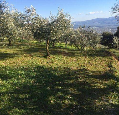 Terreno a Lamezia terme in Contrada Crozzano - Foto 2