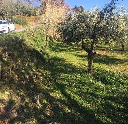 Terreno a Lamezia terme in Contrada Crozzano - Foto 4