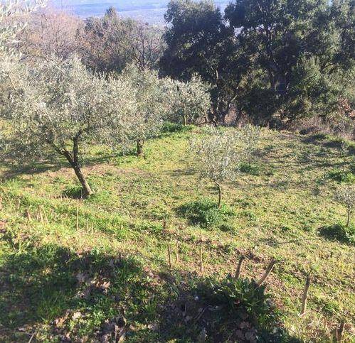 Terreno a Lamezia terme in Contrada Crozzano - Foto 5