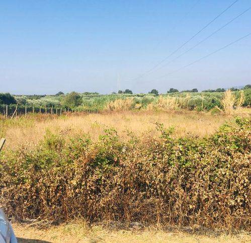 Terreno a Lamezia terme in Via Dei Salentini - Foto 3