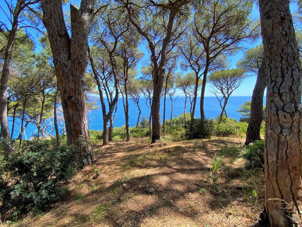 Appartamento a Rio in Località Capo d'Arco, 86 - Foto 5