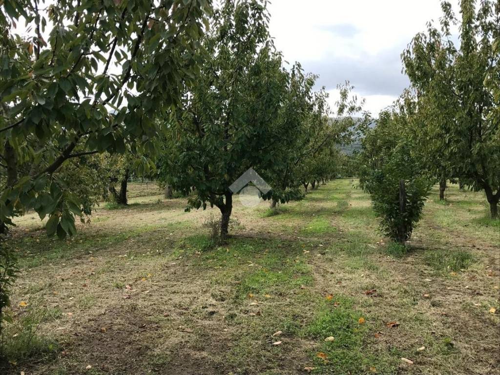 Terreno a Sant'agata de' goti in Contrada san paolo - Foto 2