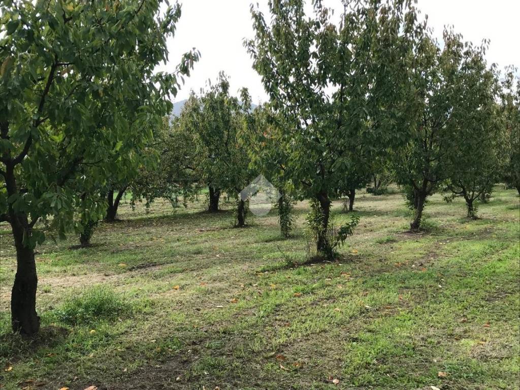 Terreno a Sant'agata de' goti in Contrada san paolo - Foto 3