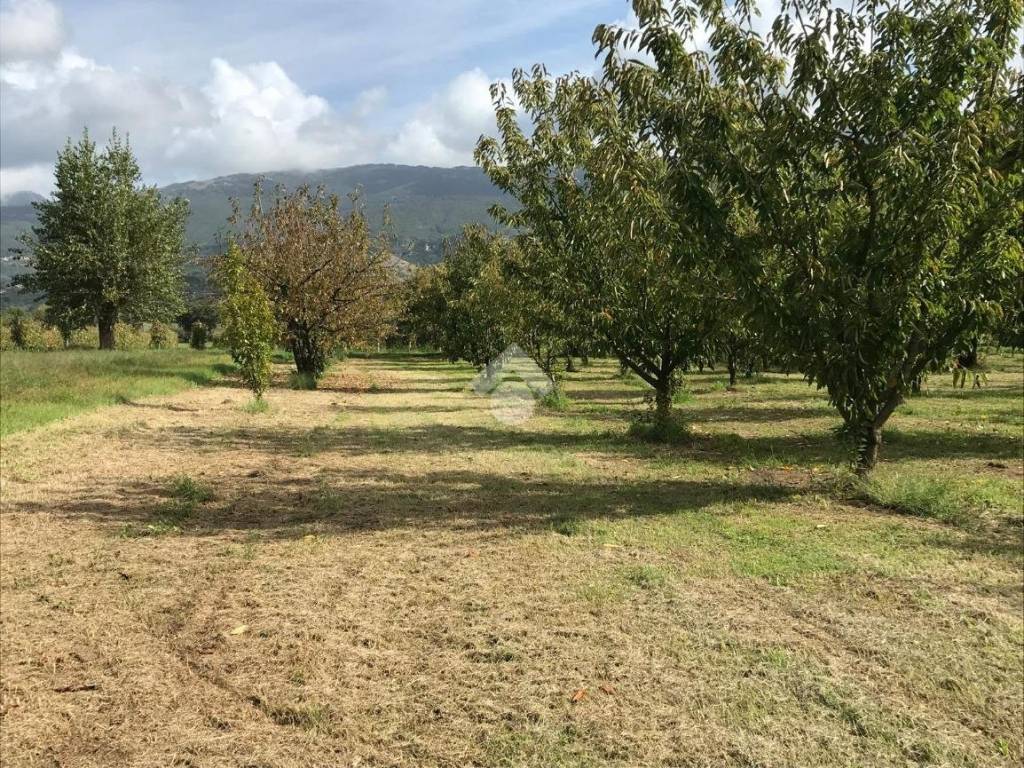 Terreno a Sant'agata de' goti in Contrada san paolo - Foto 4