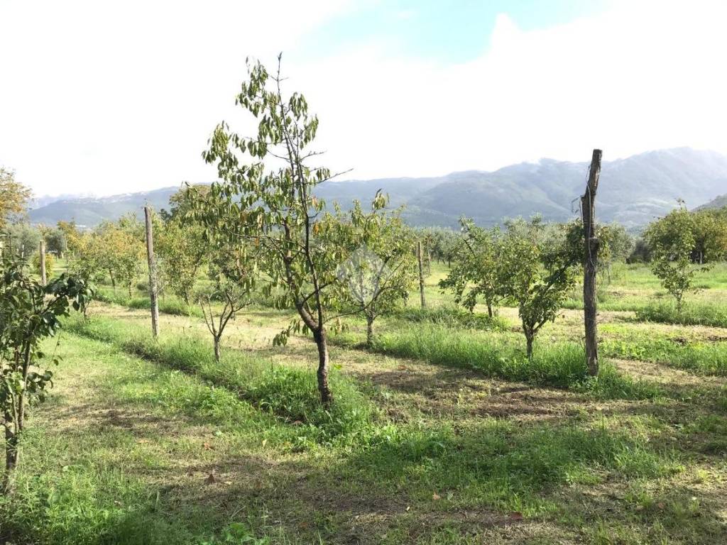 Terreno a Sant'agata de' goti in Contrada san paolo - Foto 5