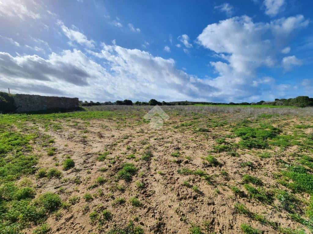 Rustico / casale a Calasetta in Località S'Acqua Sa Murta - Foto 3
