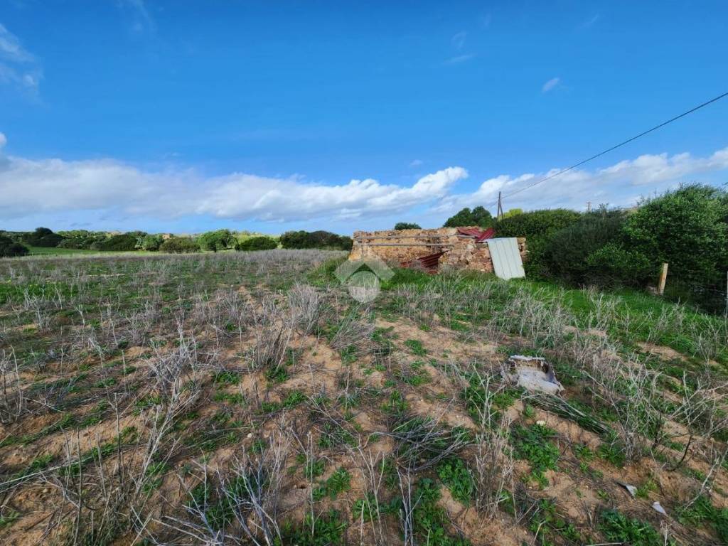 Rustico / casale a Calasetta in Località S'Acqua Sa Murta - Foto 4
