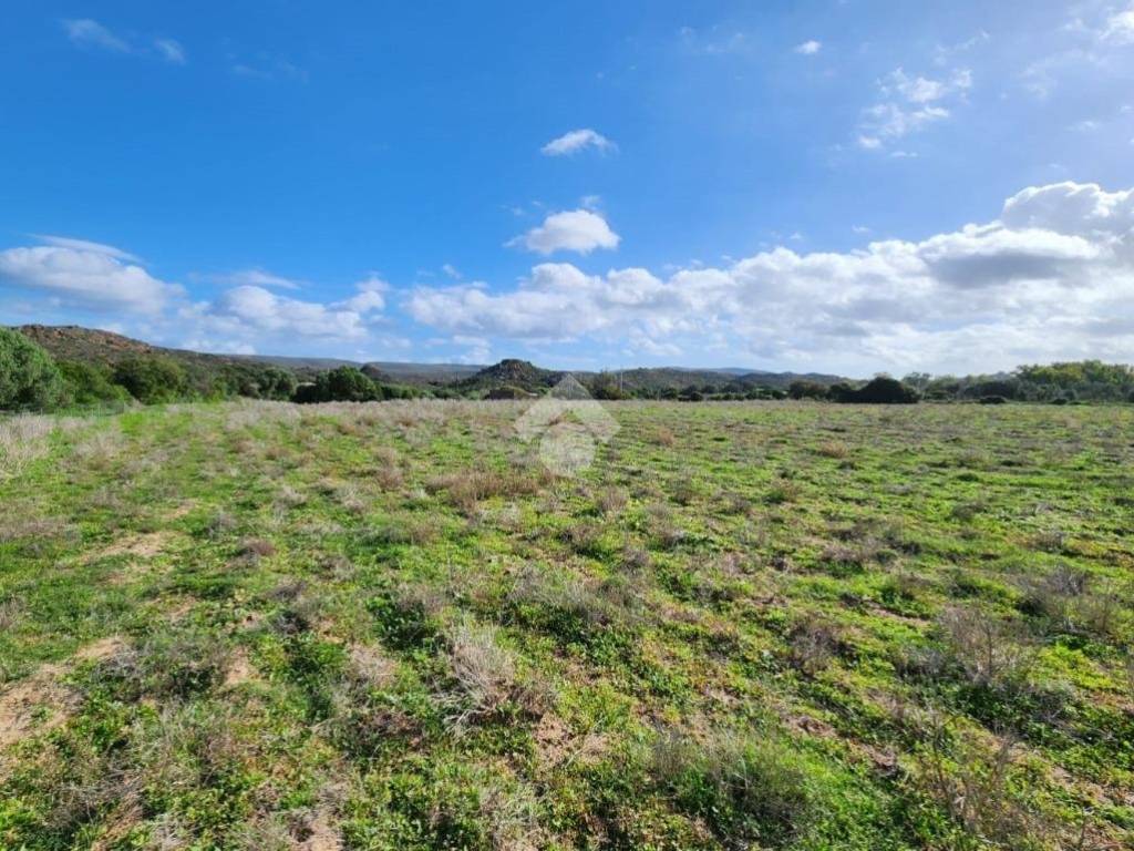 Rustico / casale a Calasetta in Località S'Acqua Sa Murta - Foto 5