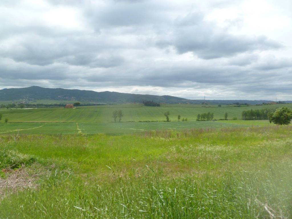 Rustico / casale a Castiglione del lago - Foto 4