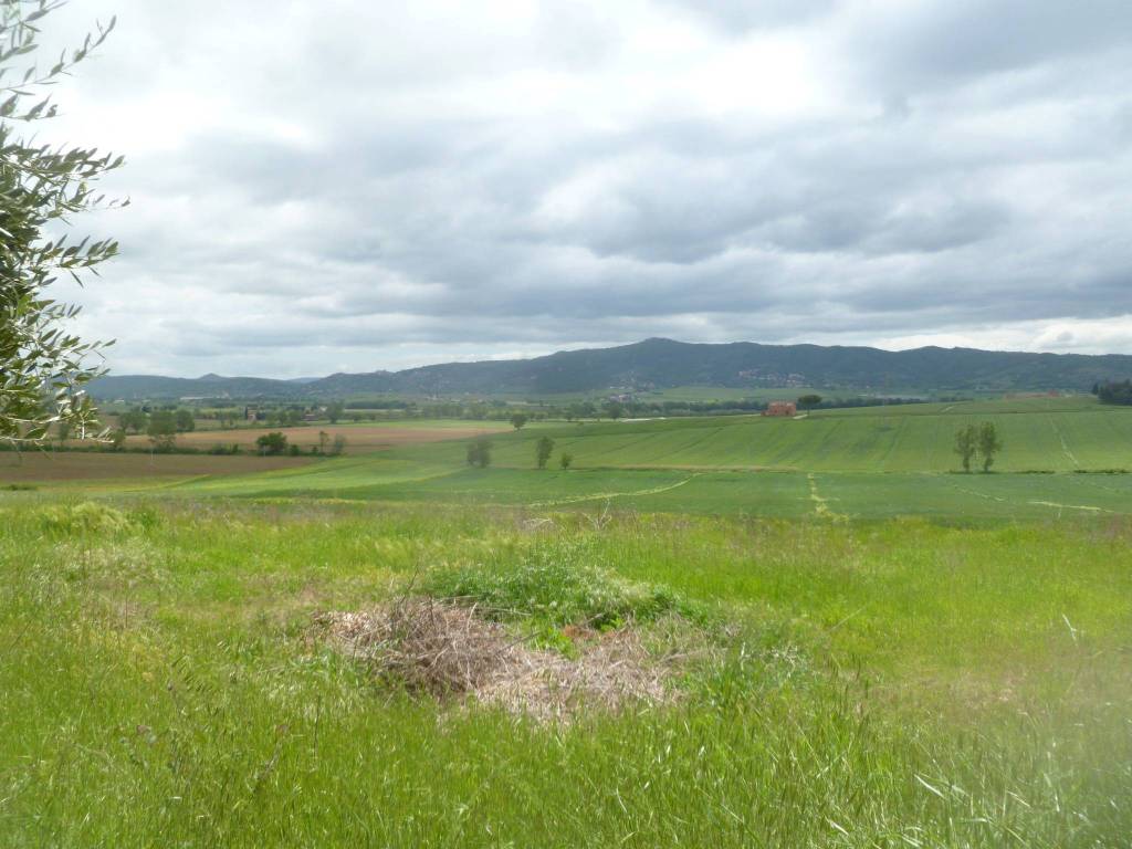 Rustico / casale a Castiglione del lago - Foto 5