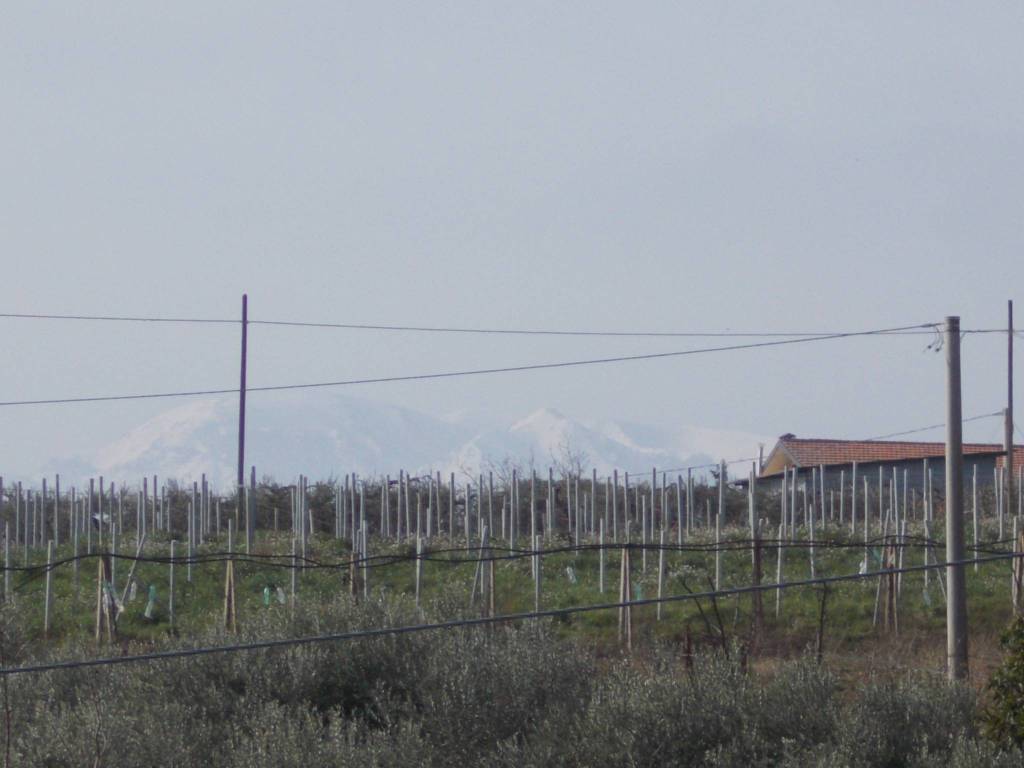 Terreno a Lanciano in Contrada Costa di Chieti - Foto 5