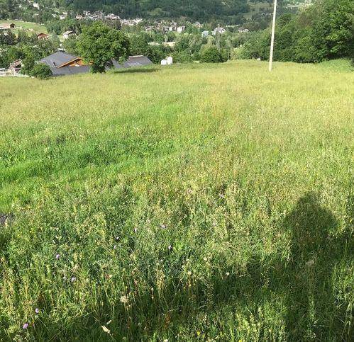 Terreno a Morgex - Foto 2