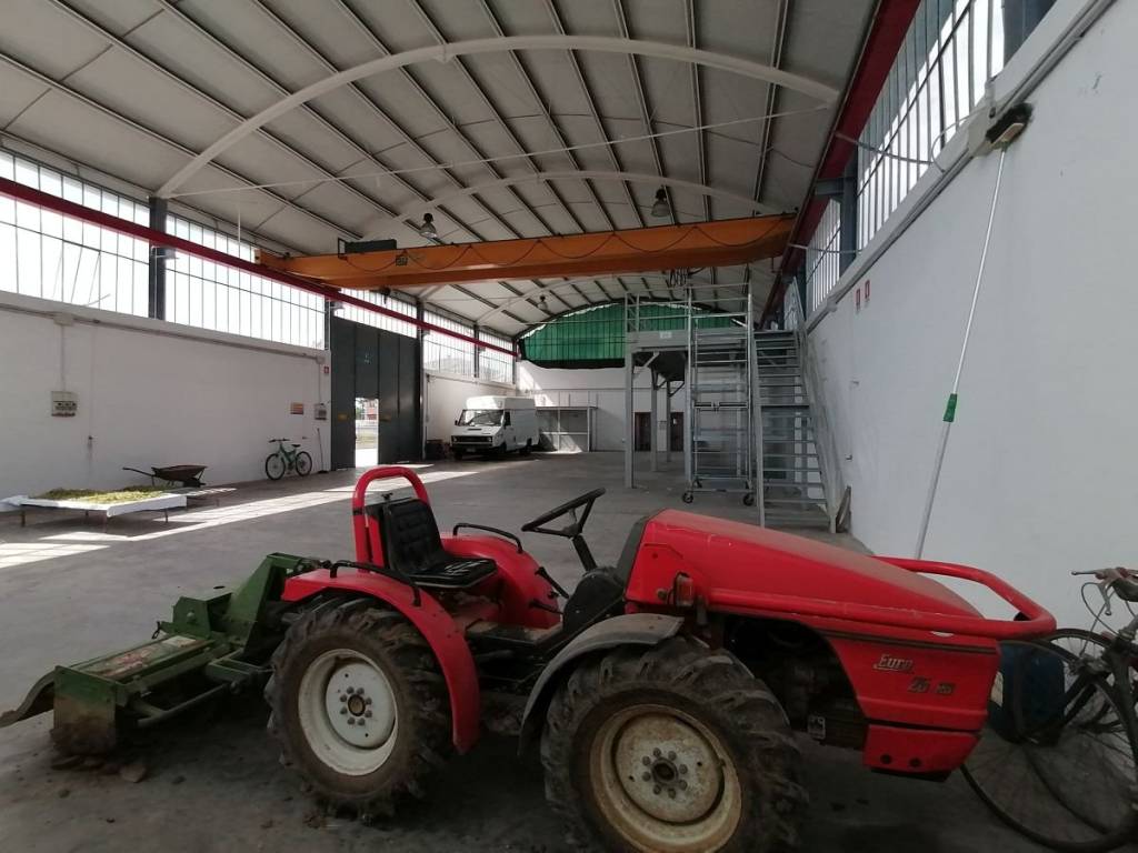 Immobile a Jesi in Via Don Angelo Battistoni - Foto 4