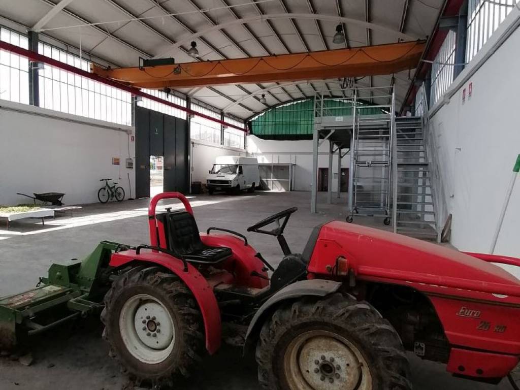 Immobile a Jesi in Via Don Angelo Battistoni - Foto 5