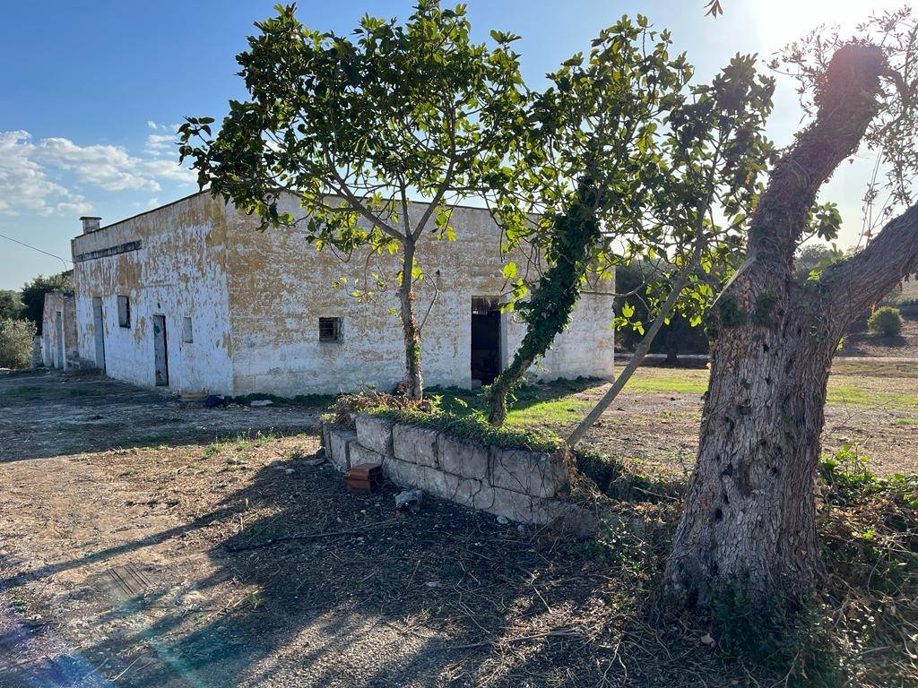 Rustico / casale a Ceglie messapica in SP23 - Foto 2