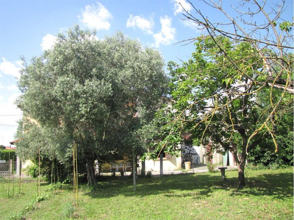 Rustico / casale a Ceggia in Via Comunet - Foto 4