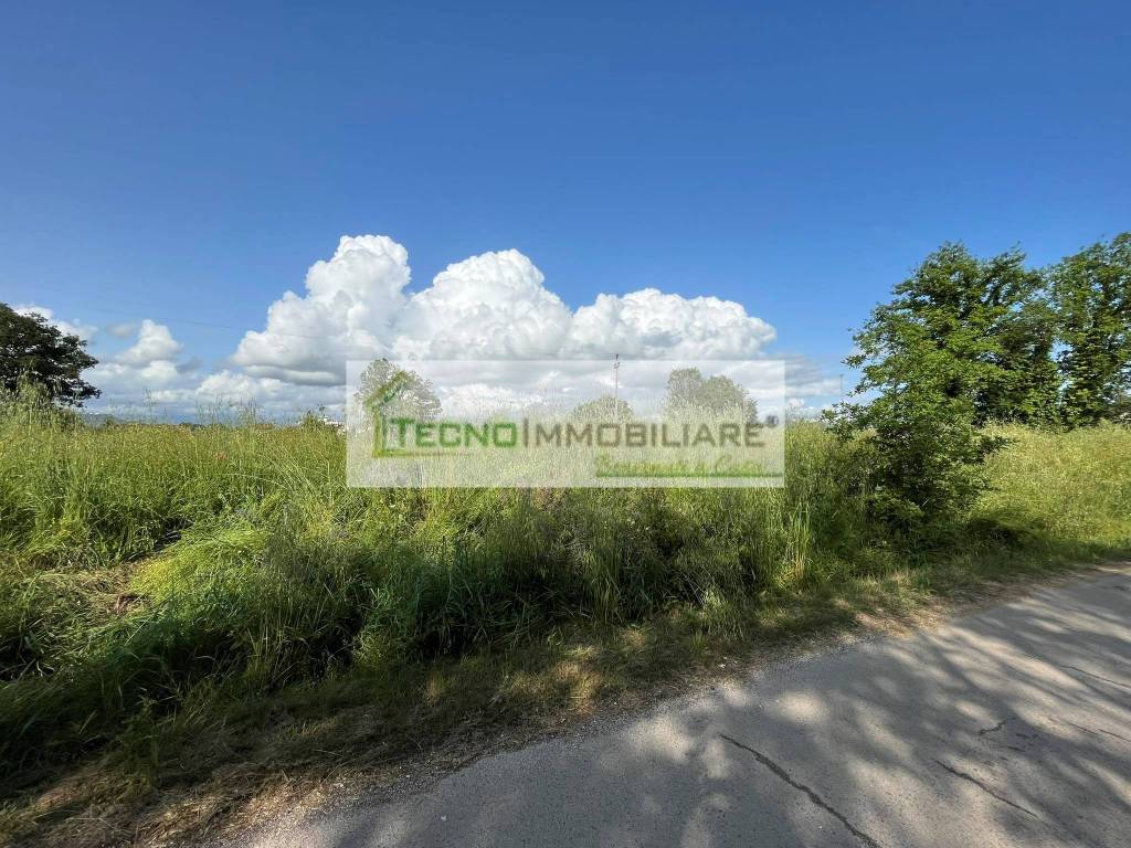 Terreno a Pignataro interamna - Foto 3