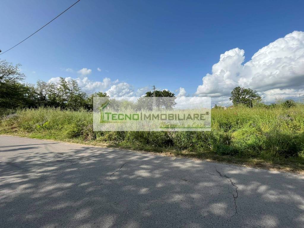 Terreno a Pignataro interamna - Foto 5