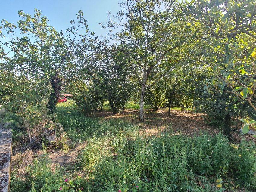 Terreno a Aiello del sabato - Foto 2