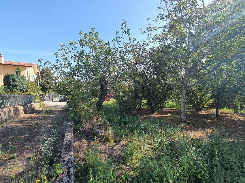 Terreno a Aiello del sabato - Foto 4