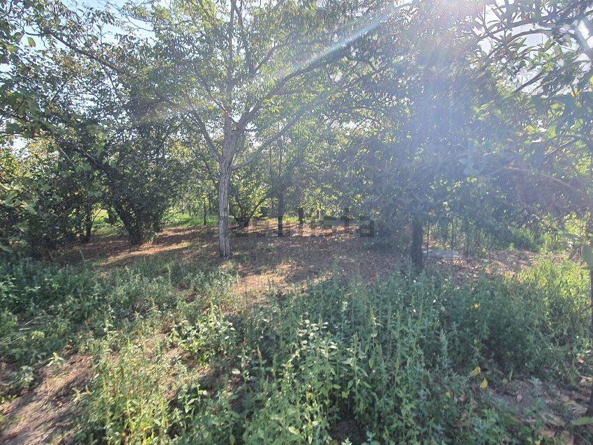 Terreno a Aiello del sabato - Foto 5