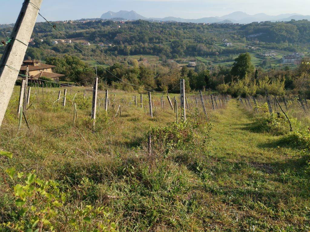 Terreno a Prata di principato ultra in VIA TAVERNANOVA, 1 - Foto 3