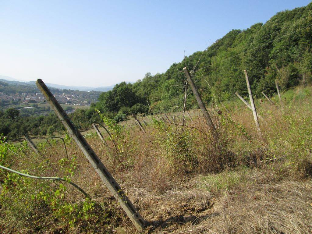 Terreno a Prata di principato ultra in VIA TAVERNANOVA, 1 - Foto 4