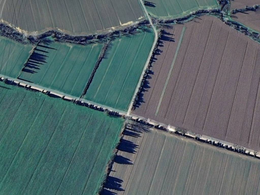 Terreno a Campagnatico in Strada Comunale Lupaie - Foto 2