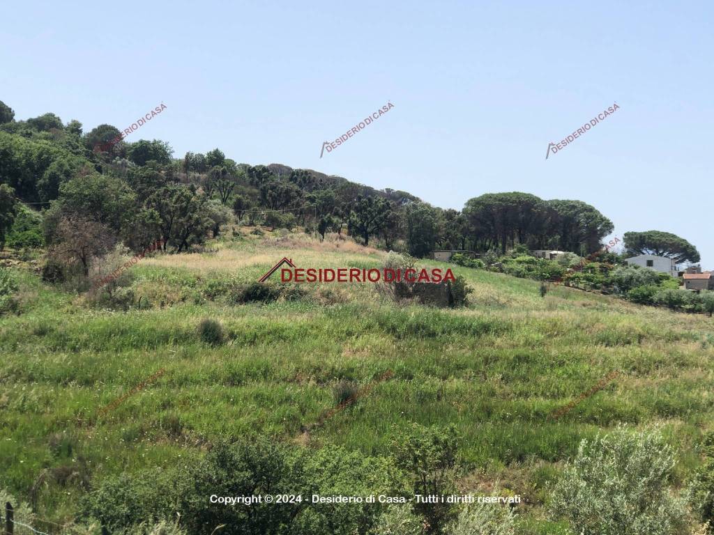 Terreno a Gratteri in Contrada Campella - Foto 4