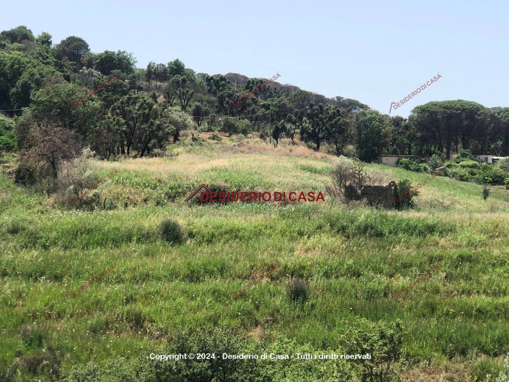 Terreno a Gratteri in Contrada Campella - Foto 5