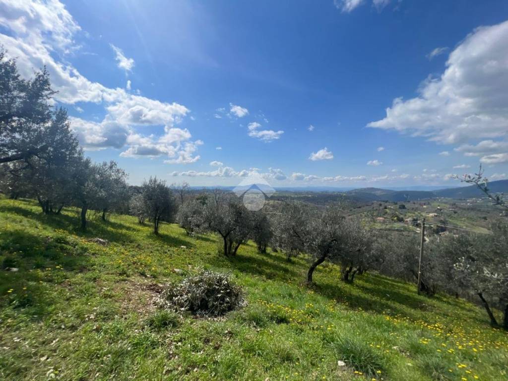 Rustico / casale a Montasola in Via Forcella - Foto 5