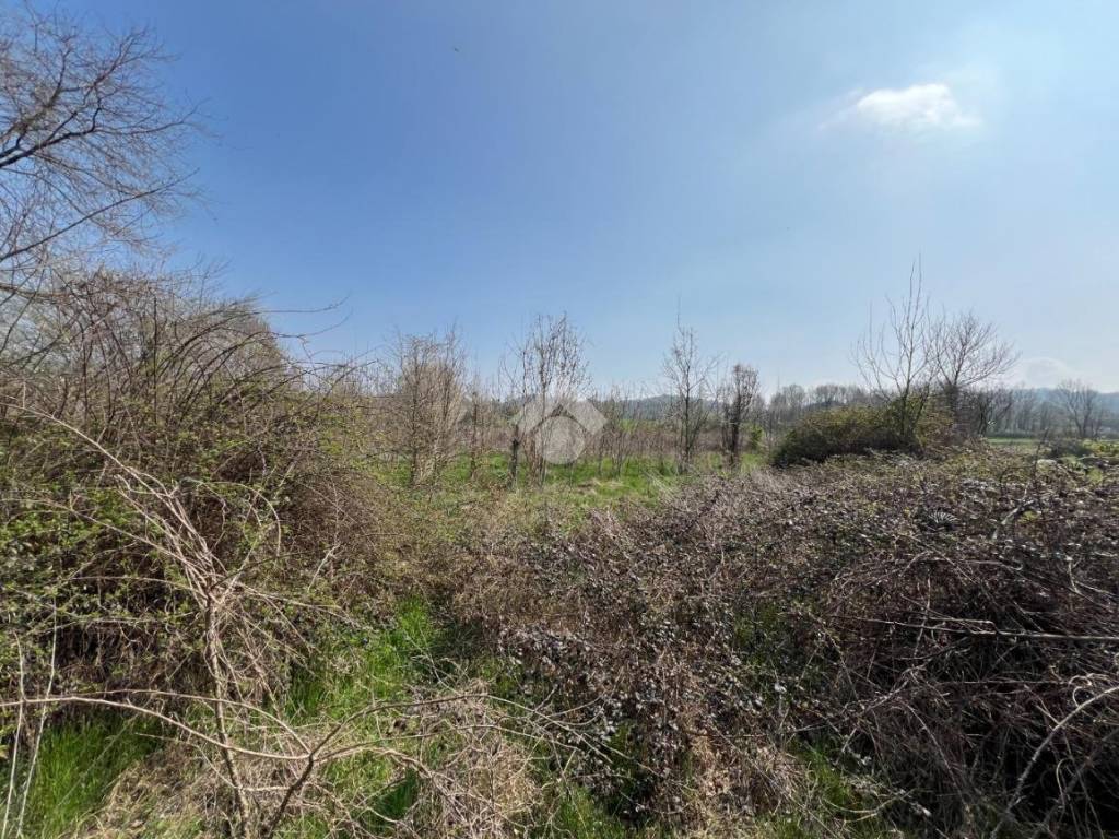 Terreno a Roppolo in Strada provinciale - Foto 2