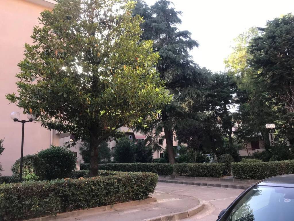 Appartamento a Caserta in Via Aristide Giovanni Barducci, 16 - Foto 4