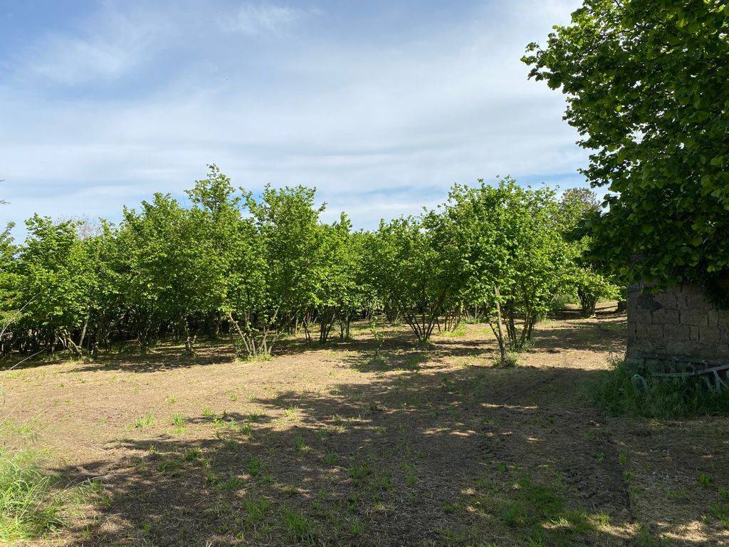 Terreno a Prata di principato ultra in Via Molara - Foto 3