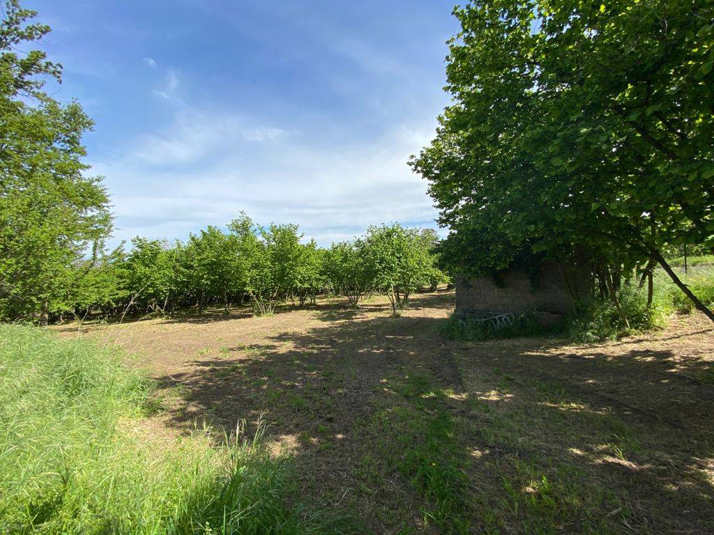 Terreno a Prata di principato ultra in Via Molara - Foto 5