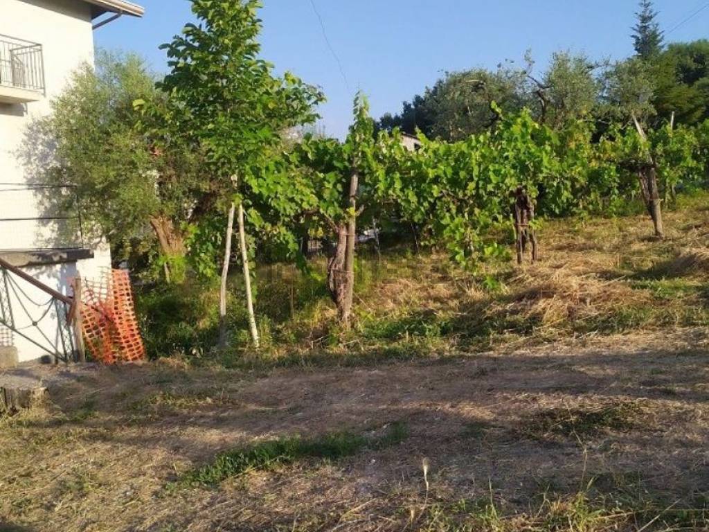 Villa a Paternopoli in Contrada Graffure S.N.C. - Foto 4