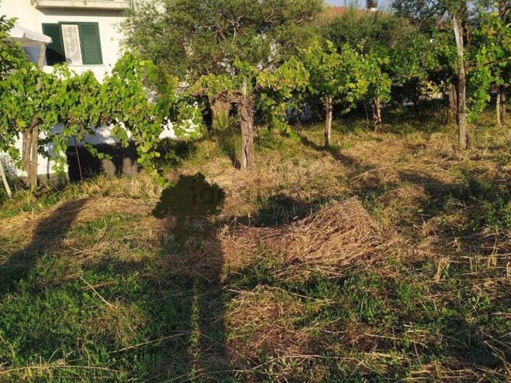 Villa a Paternopoli in Contrada Graffure S.N.C. - Foto 5