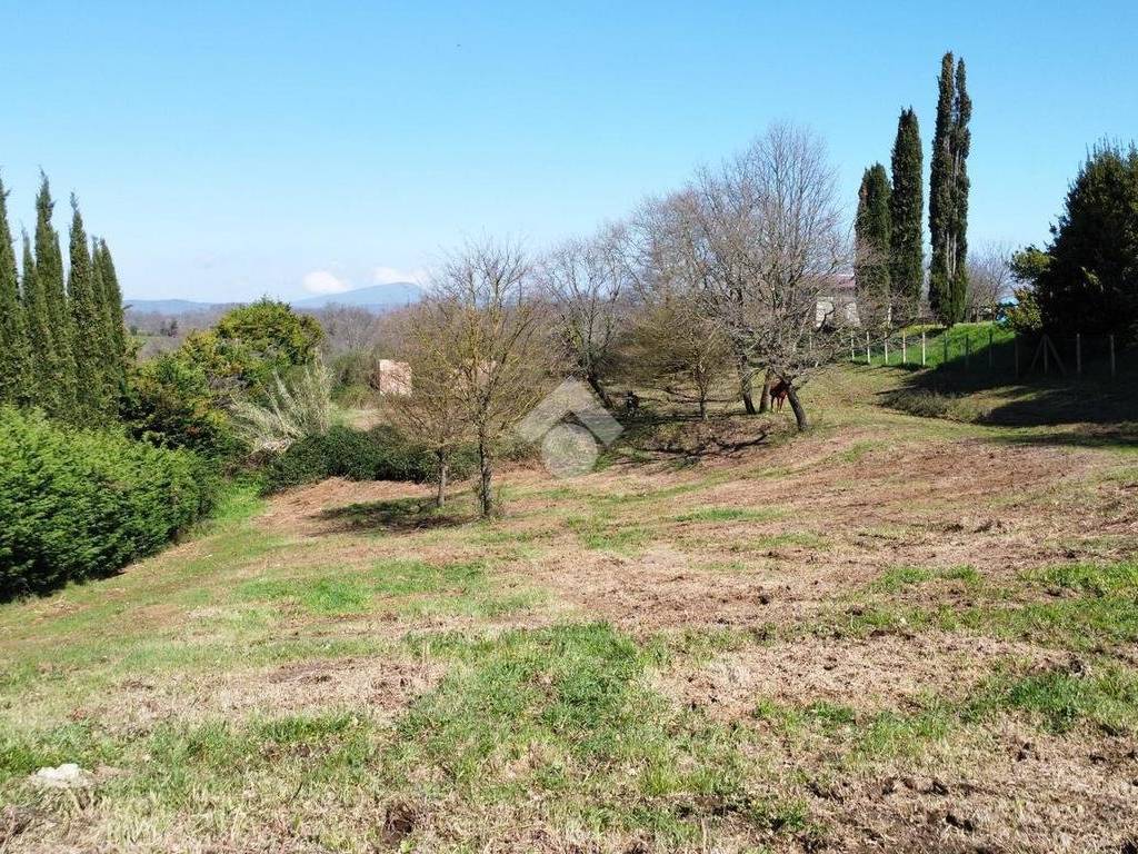 Terreno a Oriolo romano in Str. Poggio Palombino, 36 - Foto 4