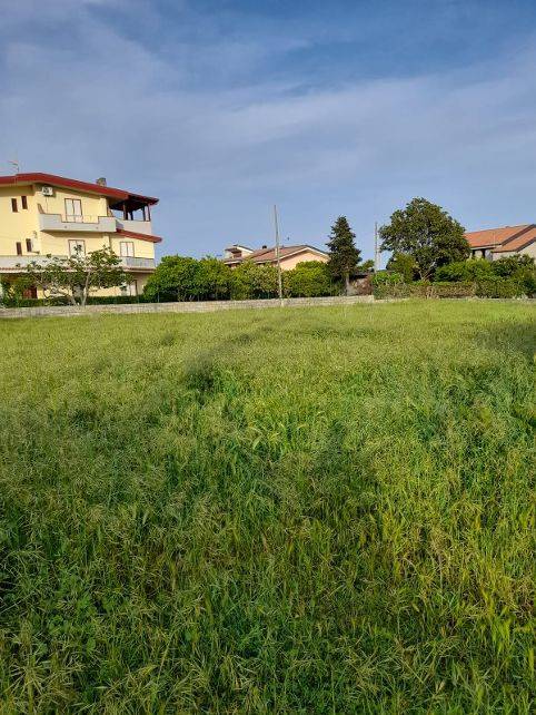 Terreno a Sellia marina in Viale dell'Agrifoglio - Foto 2