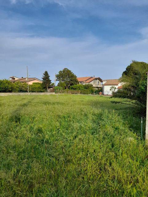 Terreno a Sellia marina in Viale dell'Agrifoglio - Foto 3