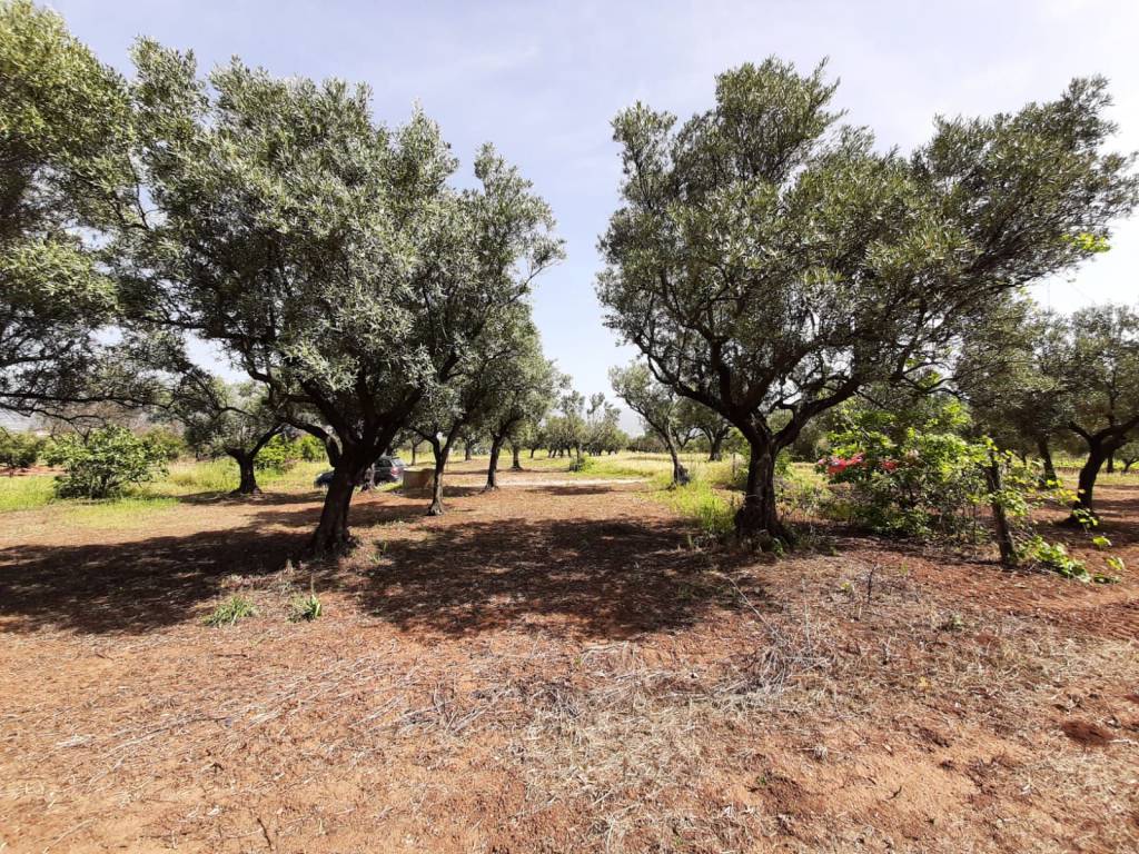 Terreno a Lamezia terme in Contrada Palazzo - Foto 2