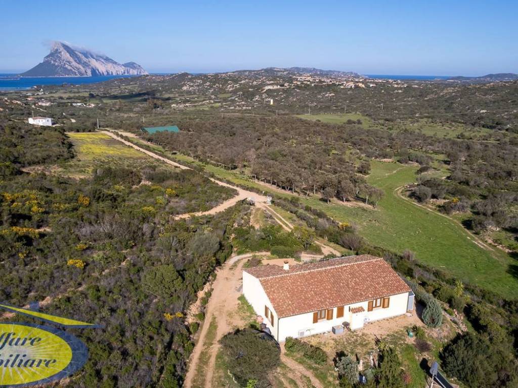 Villa a Loiri porto san paolo in VACCILEDDI - Foto 3