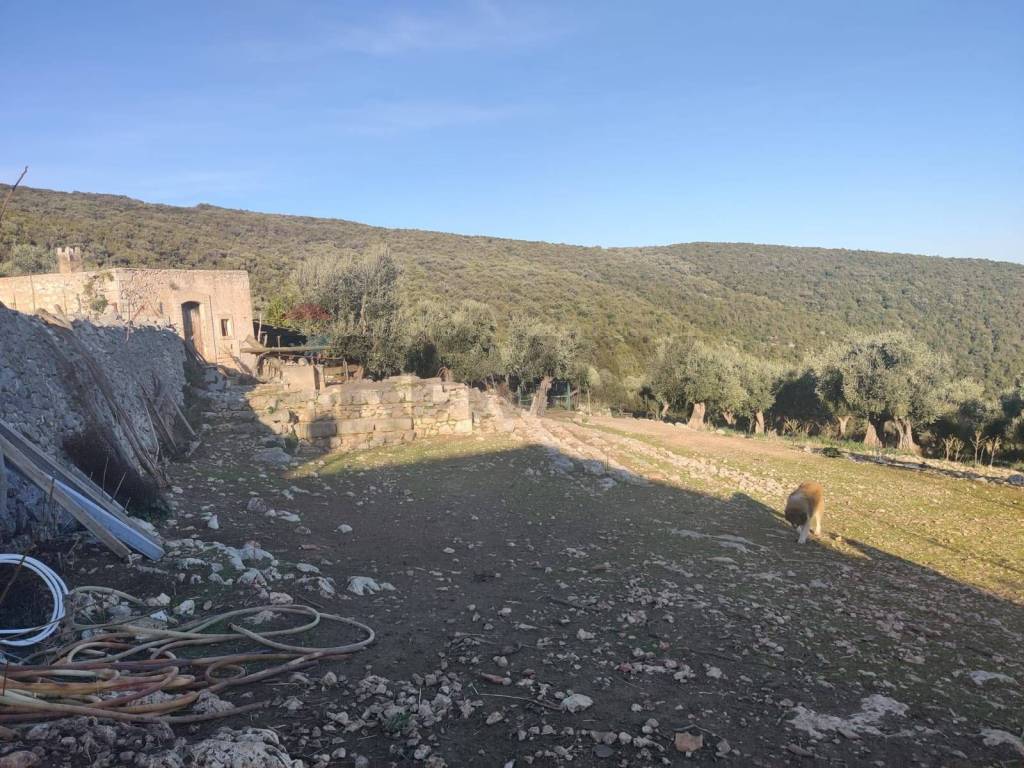 Terreno a Mattinata in Località Trimitito - Foto 2