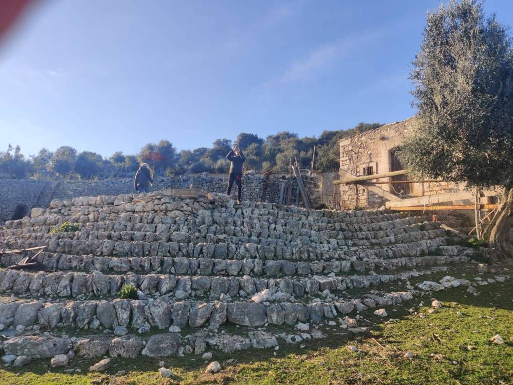 Terreno a Mattinata in Località Trimitito - Foto 5